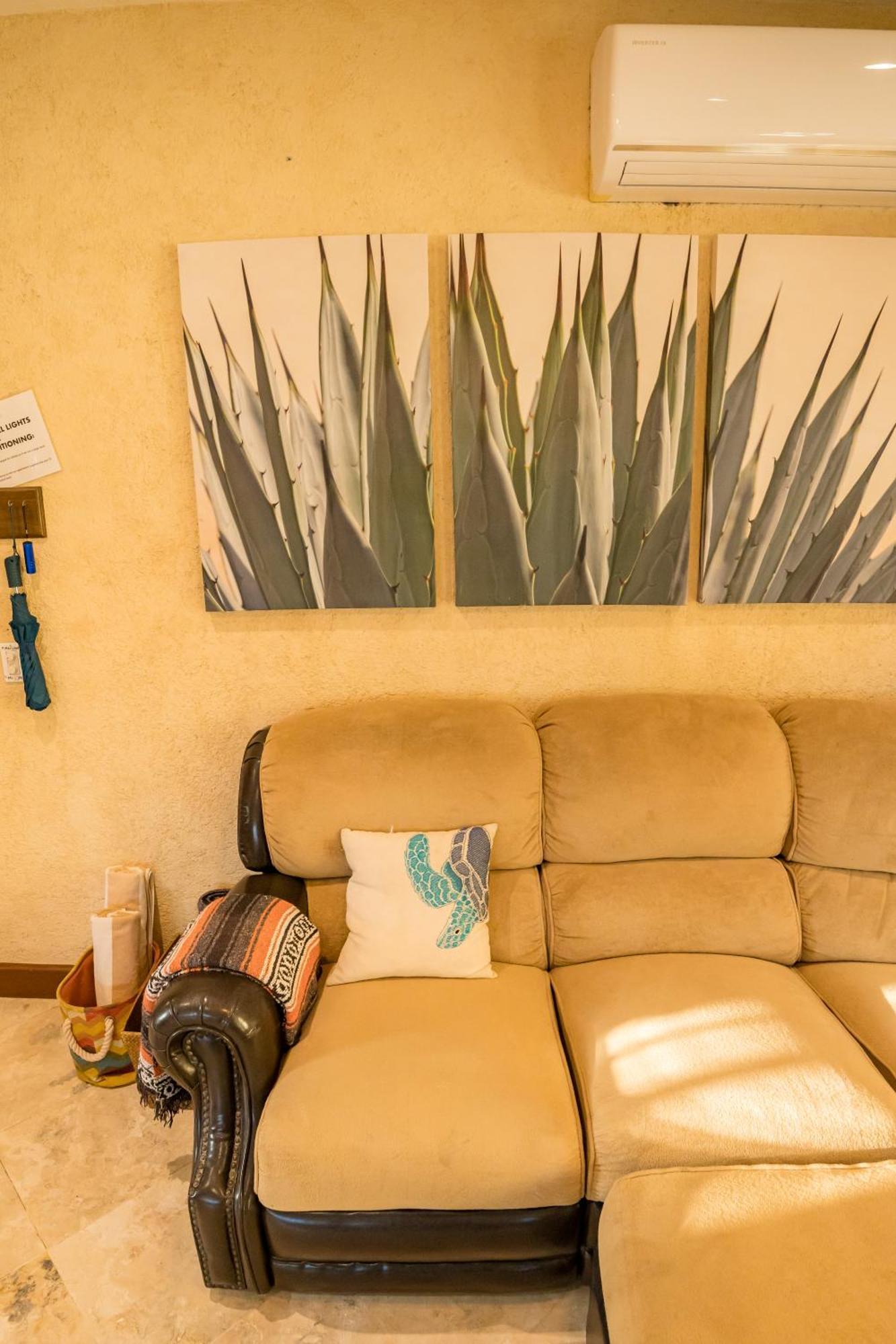 Apartment Cabo's Hidden Gem! Steps To The Marina Or *
