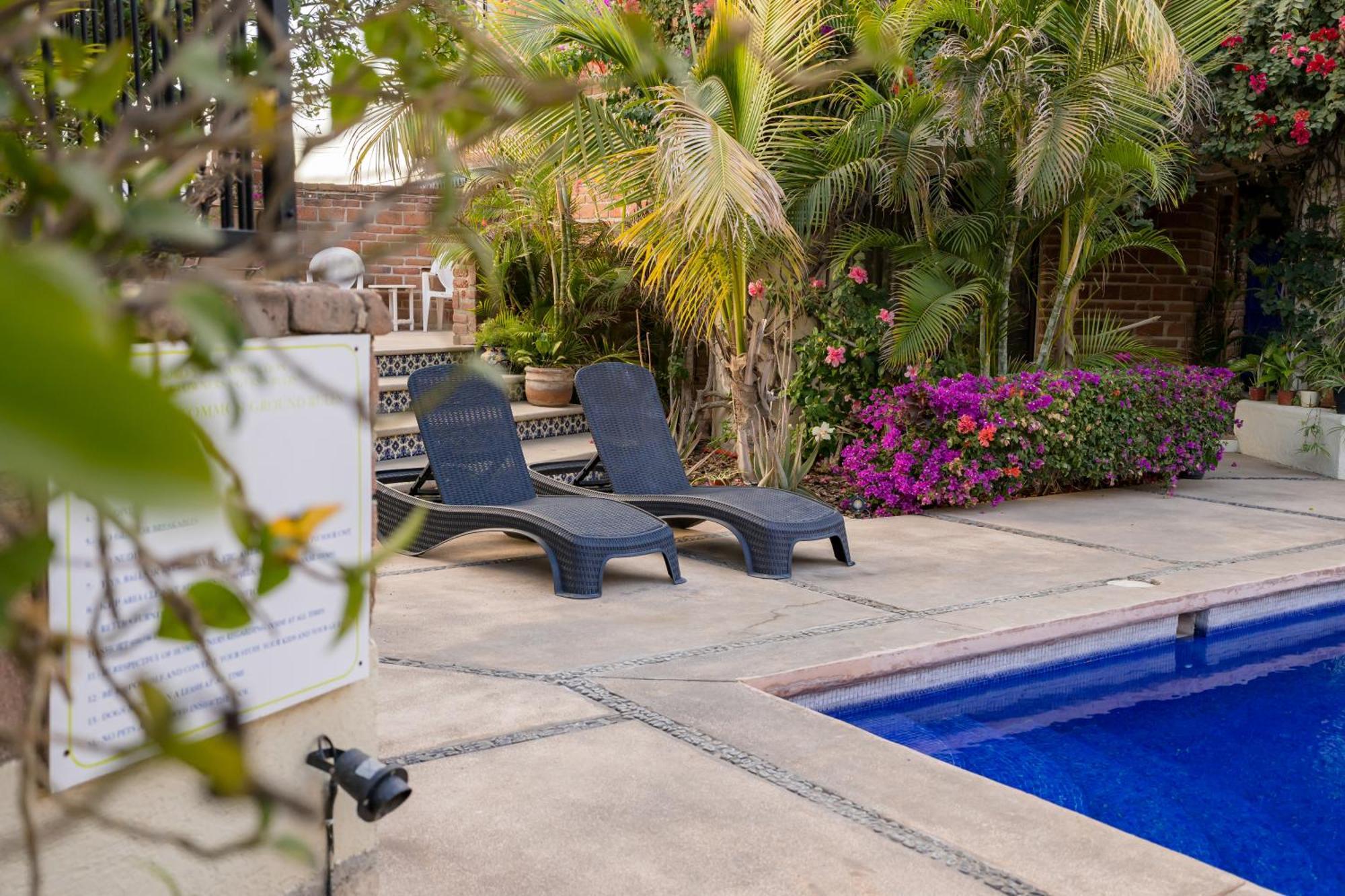 Cabo's Hidden Gem! Steps To The Marina Or Apartment *
