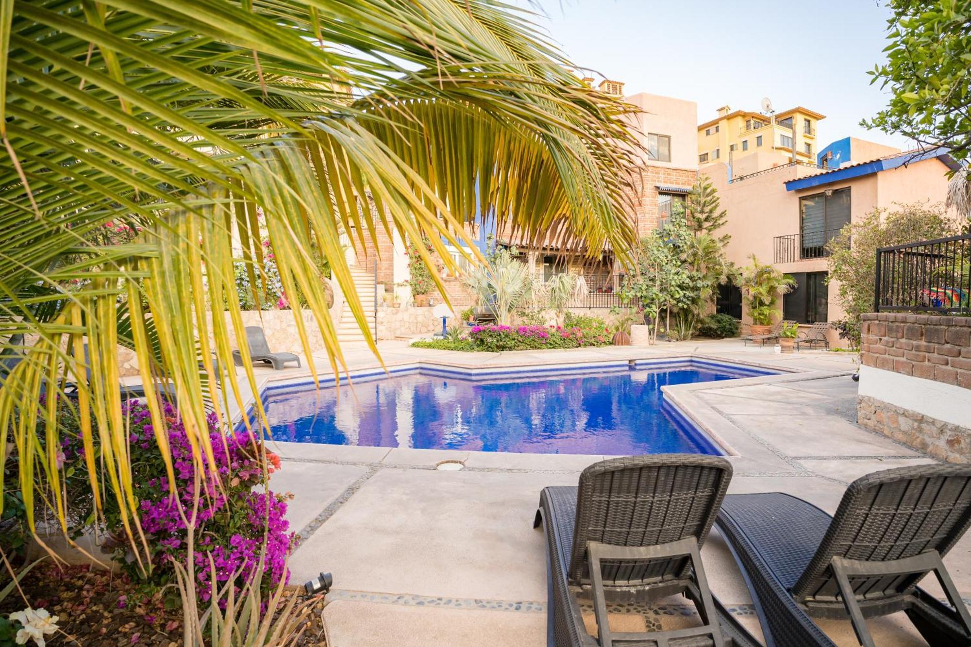 Cabo's Hidden Gem! Steps To The Marina Or *